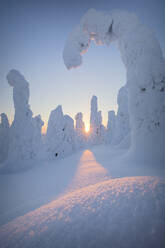 Sunburst on frozen trees at dawn, Riisitunturi National Park, Posio, Lapland, Finland, Europe - RHPLF04992