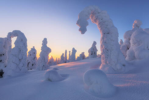 Sonnenstrahlen auf gefrorenen Bäumen in der Morgendämmerung, Riisitunturi-Nationalpark, Posio, Lappland, Finnland, Europa - RHPLF04993