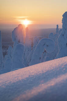 Sonnenuntergang im eisigen Wald, Riisitunturi-Nationalpark, Posio, Lappland, Finnland, Europa - RHPLF04994