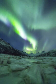Nordlicht (Aurora borealis), Olderfjorden, Svolvaer, Lofoten Inseln, Nordland, Norwegen, Europa - RHPLF05007