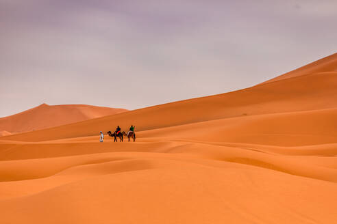 Merzouga-Wüste, Marokko, Nordafrika, Afrika - RHPLF05028