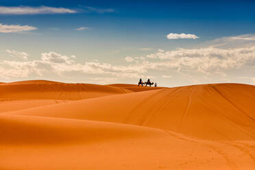 Merzouga Desert, Morocco, North Africa, Africa - RHPLF05029