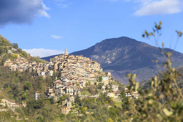 Dorf von Apricale, Provinz von Imperia, Ligurien, Italien, Europa - RHPLF05053