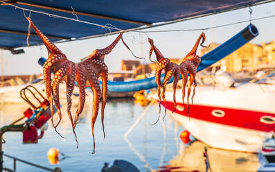 Oktopusse zum Trocknen auf Wäscheleinen aufgehängt, Chania, Kreta, Griechische Inseln, Griechenland, Europa - RHPLF05063