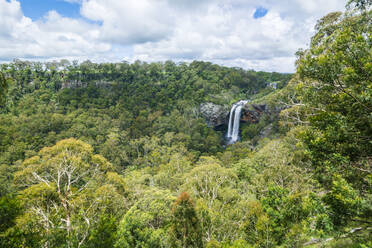 Ebor Falls, Guy Fawkes River National Park, New South Wales, Australien, Pazifik - RHPLF05068