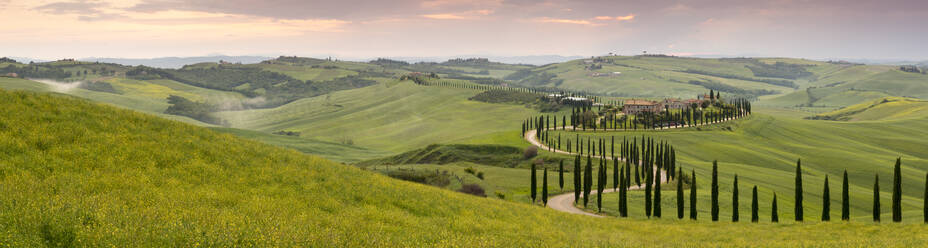 Panoramablick auf den Sonnenuntergang über dem Agriturismo Baccoleno und dem gewundenen Weg mit Zypressen, Asciano in der Toskana, Italien, Europa - RHPLF05083