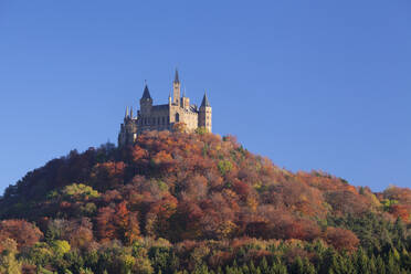 Burg Hohenzollern im Herbst, Schwäbische Alb, Baden Württemberg, Deutschland, Europa - RHPLF05139