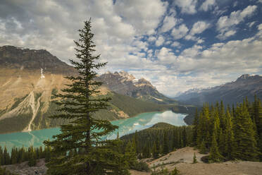 Weite Sicht auf den Peyto Lake, Banff National Park, UNESCO-Weltkulturerbe, Alberta, Rocky Mountains, Kanada, Nordamerika - RHPLF05189