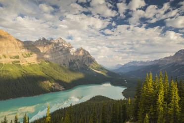 Wide view of Peyto Lake, Banff National Park, UNESCO World Heritage Site, Alberta, Rocky Mountains, Canada, North America - RHPLF05190