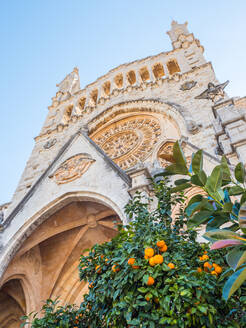 Kirche und Orangenbäume, Soller, Mallorca, Balearische Inseln, Spanien, Mittelmeer, Europa - RHPLF05195