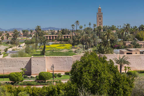 Erhöhte Ansicht der Koutoubia-Moschee und der Stadtmauer bei Tag, Marrakesch, Marokko, Nordafrika, Afrika - RHPLF05246