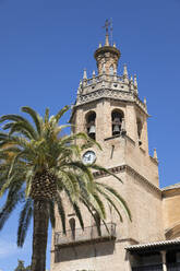 Palme und Turm der Iglesia de Santa Maria la Mayor, Ronda, Andalusien, Spanien, Europa - RHPLF05299