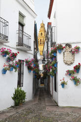 Calleja de las Flores und die Mezquita, Cordoba, Andalusien, Spanien, Europa - RHPLF05311