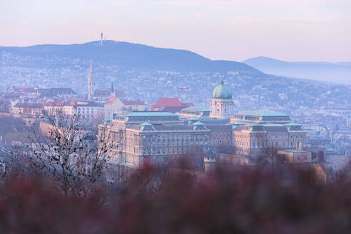 Burg Buda, Budapest, Ungarn, Europa - RHPLF05361