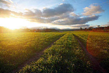 Nebenweg durch ein Feld, Monmouthshire, Wales, Vereinigtes Königreich, Europa - RHPLF05436