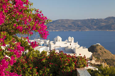 Weiße Altstadt von Plaka und Bucht von Milos mit farbenfrohen Bougainvillea, Plaka, Milos, Kykladen, Ägäisches Meer, Griechische Inseln, Griechenland, Europa - RHPLF05456