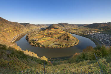 Moselschleife mit Calmont-Hügel bei Bremm, Rheinland-Pfalz, Deutschland, Europa - RHPLF05465