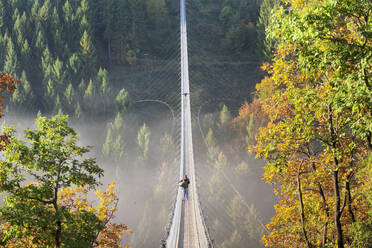 Drehbrücke Geierlay, Moersdorf, Hunsrück, Rheinland Pfalz, Deutschland, Europa - RHPLF05467