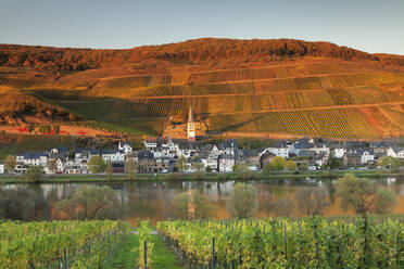 Blick auf den Stadtteil Merl, Moseltal, Zell an der Mosel, Rheinland-Pfalz, Deutschland, Europa - RHPLF05469