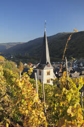 Kirchturm und Weinberge im Herbst, Ediger-Eller, Moseltal, Rheinland Pfalz, Deutschland, Europa - RHPLF05474