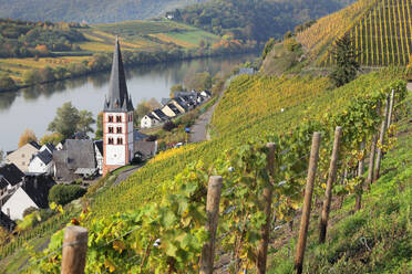 Blick auf den Stadtteil Merl, Moseltal, Zell an der Mosel, Rheinland-Pfalz, Deutschland, Europa - RHPLF05487