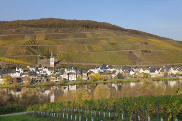 Blick auf den Stadtteil Merl, Moseltal, Zell an der Mosel, Rheinland-Pfalz, Deutschland, Europa - RHPLF05491