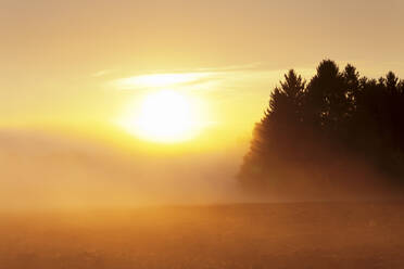 Landscape with early morning fog at sunrise in autumn, Hunsruck, Rhineland-Palatinate, Germany, Europe - RHPLF05492