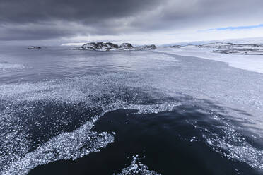 Brash ice and grease ice, Torgersen Island and glaciers of Anvers Island, Antarctic Peninsula, Antarctica, Polar Regions - RHPLF05508