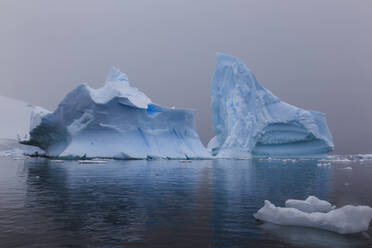 Blue icebergs in snowy weather, from sea level, Waterboat Point, Paradise Bay, Graham Land, Antarctic Peninsula, Antarctica, Polar Regions - RHPLF05517