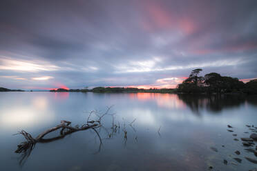 Lough Leane lake, Killarney National Park, County Kerry, Munster, Republic of Ireland, Europe - RHPLF05523