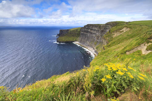 Cliffs of Moher, The Burren, Grafschaft Clare, Munster, Republik Irland, Europa - RHPLF05533