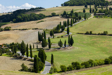 Winding Tuscan road surrounded by fields and Cypress trees, near La Foce, Tuscany, Italy, Europe - RHPLF05573