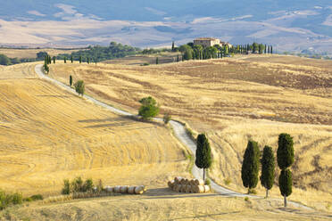 Cypress trees and fields in the afternoon sun at Agriturismo Terrapille (Gladiator Villa) near Pienza in Tuscany, Italy, Europe - RHPLF05579