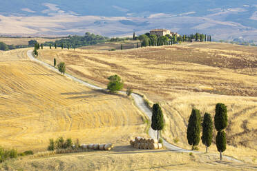 Zypressen und Felder in der Nachmittagssonne im Agriturismo Terrapille (Villa Gladiator) in der Nähe von Pienza in der Toskana, Italien, Europa - RHPLF05579