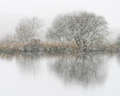 Schneefall, Broad Pool, Gower, Südwales, Vereinigtes Königreich, Europa - RHPLF05719