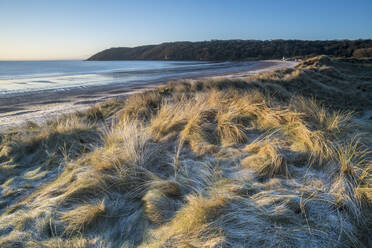 Sand dunes and frost, Oxwich Bay, Gower Peninsula, South Wales, United Kingdom, Europe - RHPLF05728