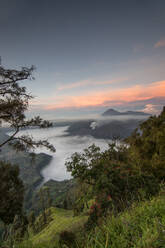 Morgenblick auf den Mount Bromo, Ost-Java, Indonesien, Südostasien, Asien - RHPLF05794