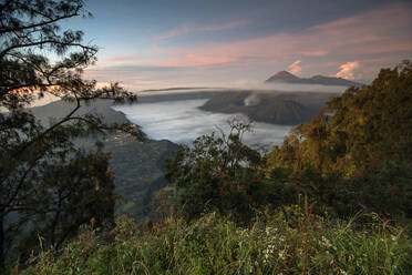 Morgenblick auf den Mount Bromo, Ost-Java, Indonesien, Südostasien, Asien - RHPLF05795