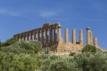 View over trees to the hilltop Temple of Hera (Temple of Juno), in the UNESCO World Heritage Site listed Valley of the Temples, Agrigento, Sicily, Italy, Mediterranean, Europe - RHPLF05914
