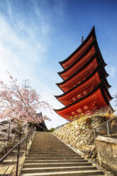 Kirschblüte an der fünfstöckigen Komyoin-Pagode, UNESCO-Weltkulturerbe, Insel Miyajima, Präfektur Hiroshima, Honshu, Japan, Asien - RHPLF05948