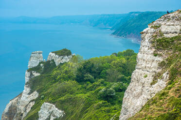 Beer Head mit Blick in Richtung Branscombe Mouth, zwischen Beer und Branscombe an der Jurassic Coast, UNESCO-Weltkulturerbe, Dorset, England, Vereinigtes Königreich, Europa - RHPLF06029