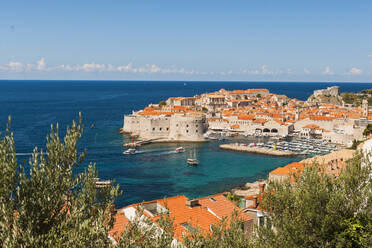 Altstadt, UNESCO-Weltkulturerbe, Dubrovnik, Kroatien, Europa - RHPLF06112