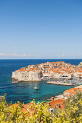Altstadt, UNESCO-Weltkulturerbe, Dubrovnik, Kroatien, Europa - RHPLF06120