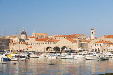Dubrovnik Harbour, UNESCO World Heritage Site, Dubrovnik, Croatia, Europe - RHPLF06122