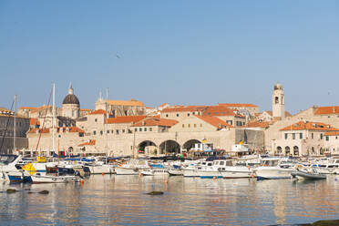 Hafen von Dubrovnik, UNESCO-Weltkulturerbe, Dubrovnik, Kroatien, Europa - RHPLF06122