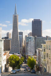 Trans America Pyramid, San Francisco, Kalifornien, Vereinigte Staaten von Amerika, Nordamerika - RHPLF06137