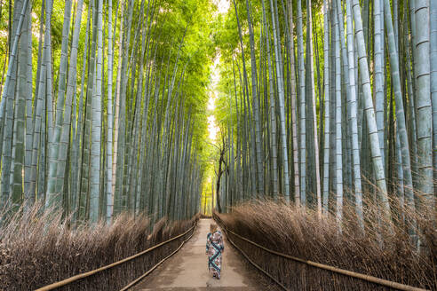 Arashiyama-Bambushain Kyoto, Japan, Asien - RHPLF06230