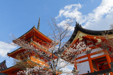 Kiyomizu-dera-Tempel, UNESCO-Weltkulturerbe, Kyoto, Japan, Asien - RHPLF06232