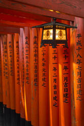 Fushimi Inari Taisha-Schrein und Torii-Tore, Kyoto, Japan, Asien - RHPLF06233