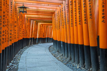 Fushimi Inari Taisha-Schrein und Torii-Tore, Kyoto, Japan, Asien - RHPLF06235